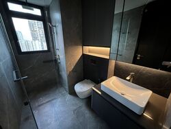 Irwell Hill Residences (D9), Apartment #533877891